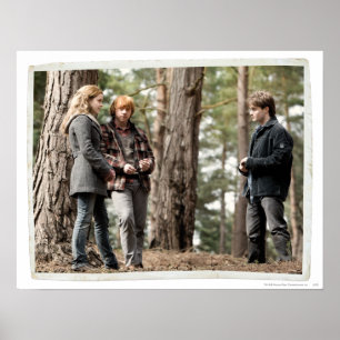 Poster Hermione, Ron, and Harry 2