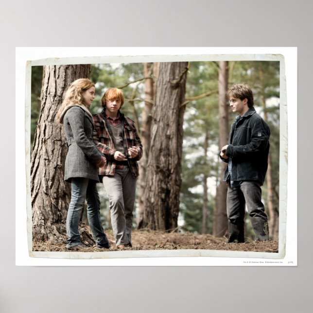Poster Hermione, Ron e Harry 2 (Frente)