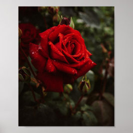 Poster hermoso Póster de rosas rojas