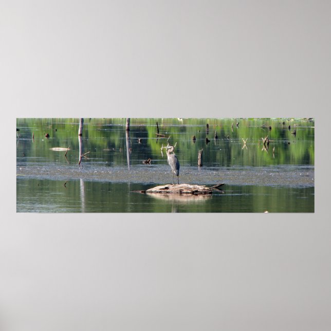 Pôster Heron (Frente)