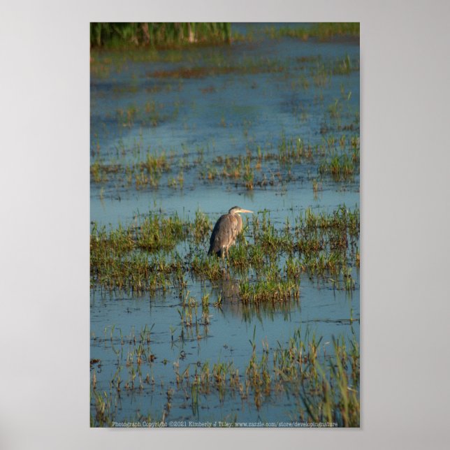 Poster Heron 6937 (Frente)