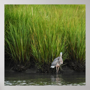 Poster Heron Azul excelente