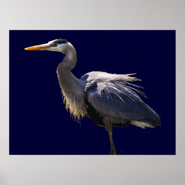 Poster Heron Azul excelente (Frente)