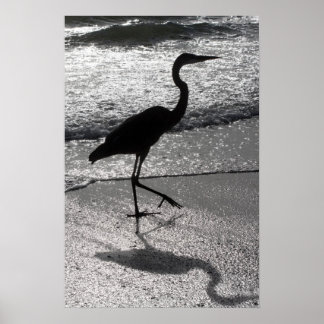 Pôster Heron Walking on Shore