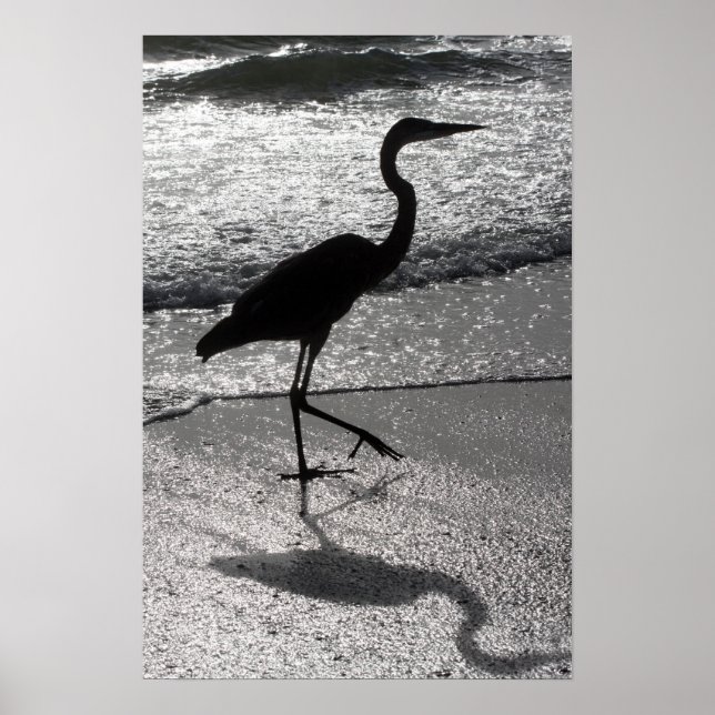 Pôster Heron Walking on Shore (Frente)