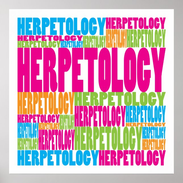 Poster Herpetologia Colorida (Frente)