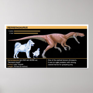 Poster Herrerasaurus - Biologia Dinosaur Jurássico
