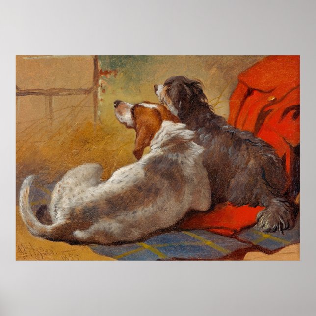 Poster Herring é um Cão e uma Colina (Frente)