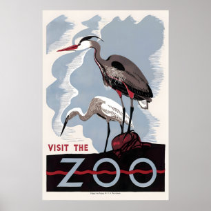 Poster Herron American Bittern Zoo Bird Publicidade