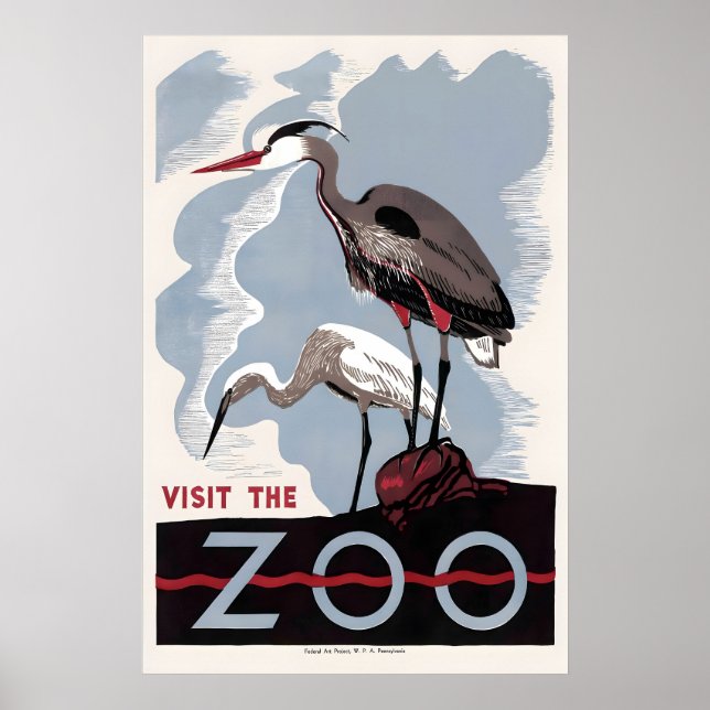 Poster Herron American Bittern Zoo Bird Publicidade (Frente)