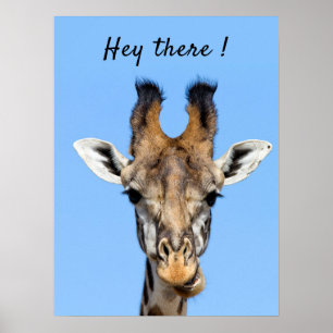 Poster Hey there funny Giraffe photo with text