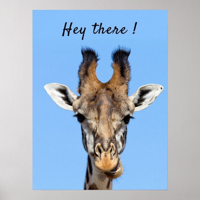 Poster Hey there funny Giraffe photo with text (Frente)