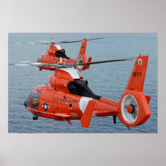 Poster HH-65 Golfinho