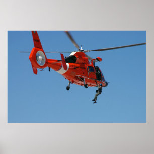 Poster HH-65 Golfinho