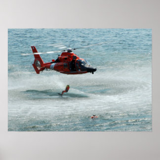 Pôster HH-65 Golfinho