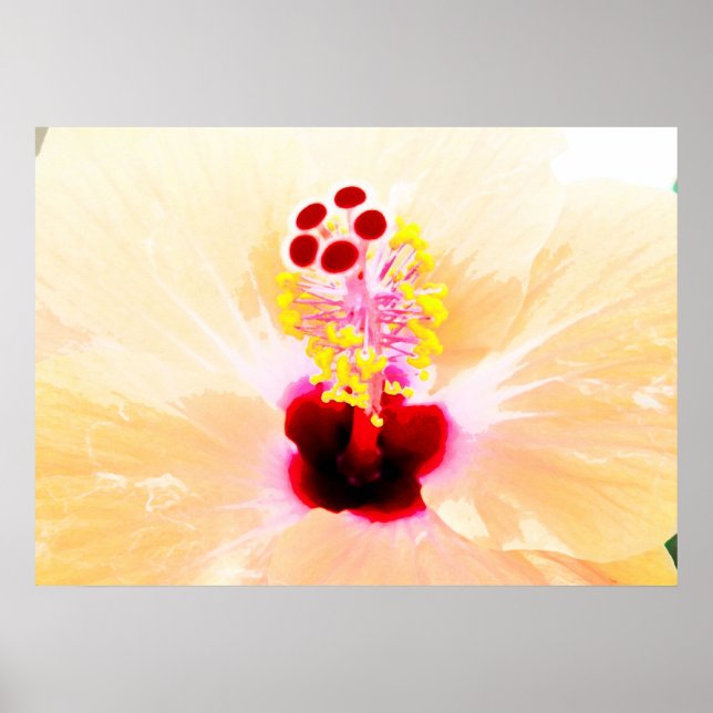Poster hibisco (Frente)