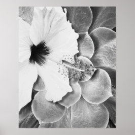 Poster Hibisco Preto e Branco