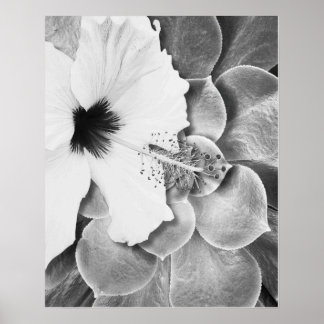 Poster Hibisco Preto e Branco