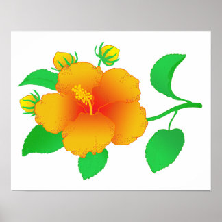 Poster Hibiscus