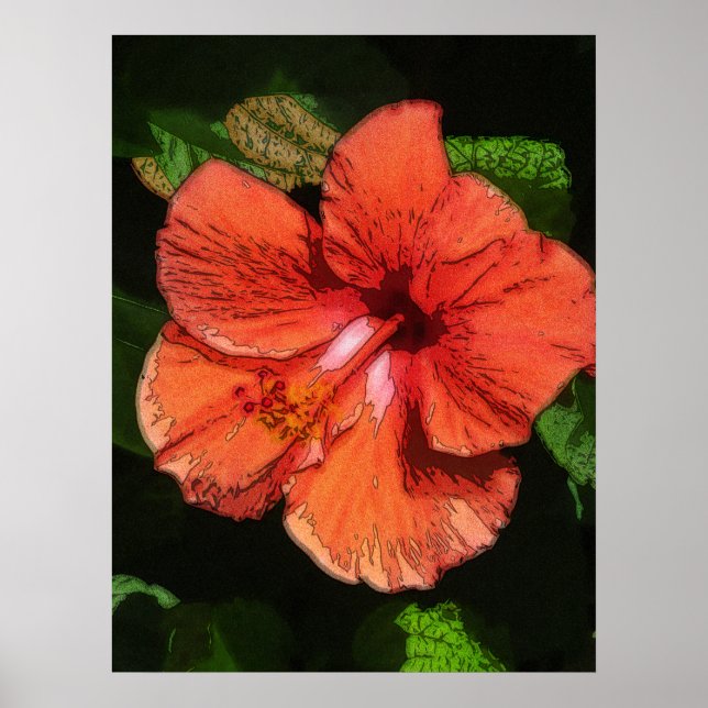Poster Hibiscus 424 - flor vermelha tropical (Frente)