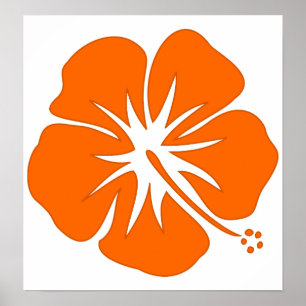Poster Hibiscus alaranjado