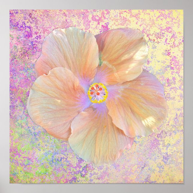 Poster Hibiscus, flor tropical, iridescente, parece ouro  (Frente)