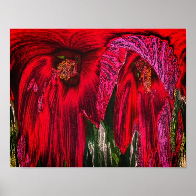Poster Hibiscus Flower Fantasy Floral Abstrato (Frente)