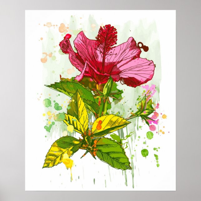 Poster Hibiscus flower - watercolor paint 2 (Frente)