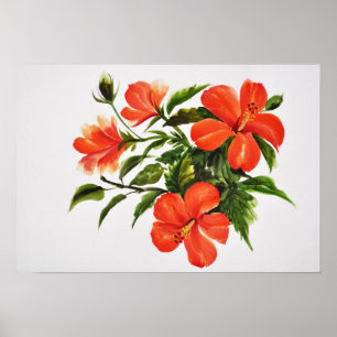 Pôster Hibiscus vermelho quente