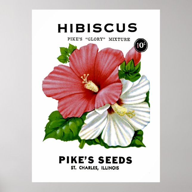 Poster Hibiscus Vintage Seed Packet (Frente)