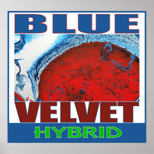 PÔSTER HÍBRIDO DE VELUDO AZUL
