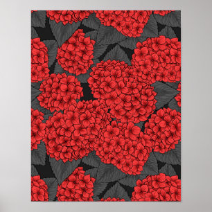 Poster Hidrangea vermelha