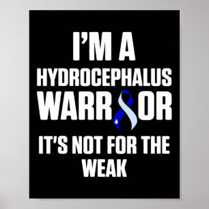 Poster Hidrocephalus Survivor Fraco Guerreiro de Sensibil