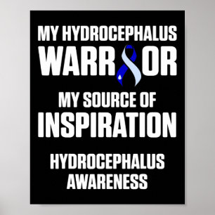 Poster Hidrocephalus Survivus Fonte Guerreira de Consciên