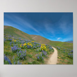 Poster High Desert Spring Bloom