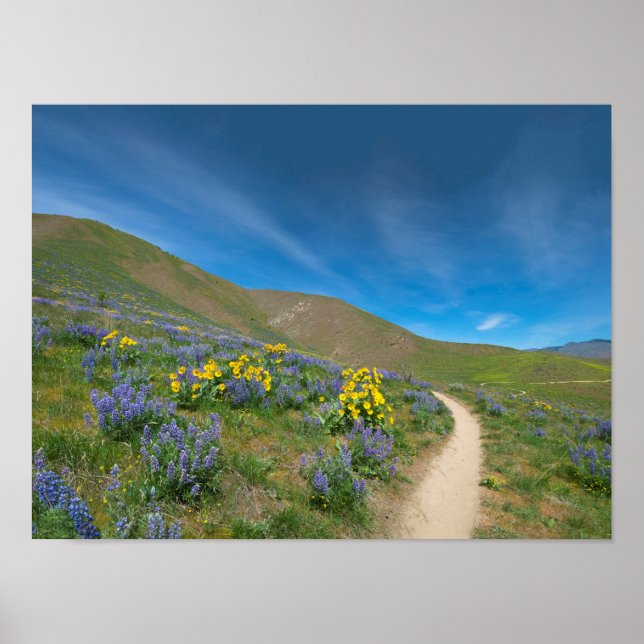 Poster High Desert Spring Bloom (Frente)
