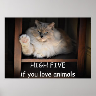 Poster HIGH FIVE if you love animals,