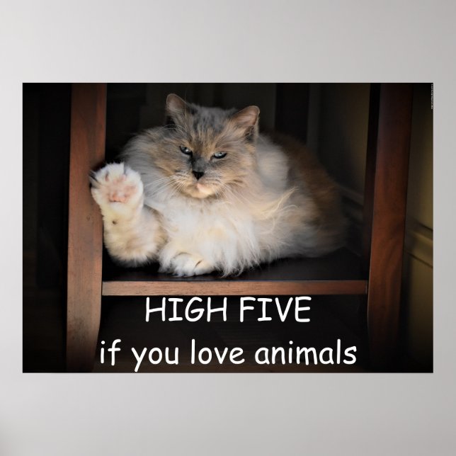 Poster HIGH FIVE if you love animals,  (Frente)