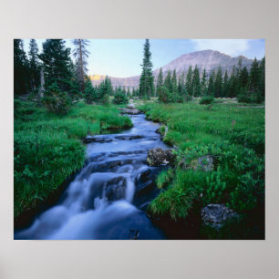 Pôster HIGH UINTAS WILDERNESS, UTAH. Garfo de Água Estil