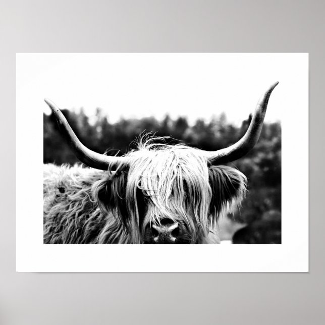 Poster Highland Cow Rustic Boho Chic Black and White (Frente)