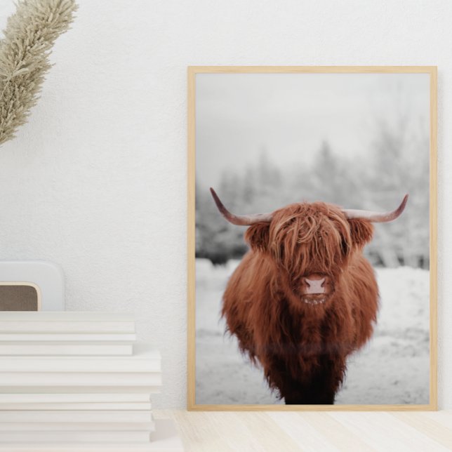 Poster Highland Cow Scotland Russ Fazenda (Criador carregado)
