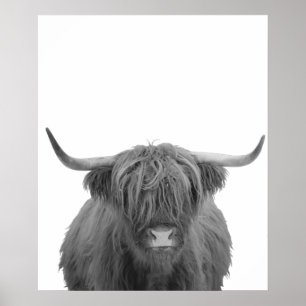 Poster Highland Cow Scotland Rustic Black White