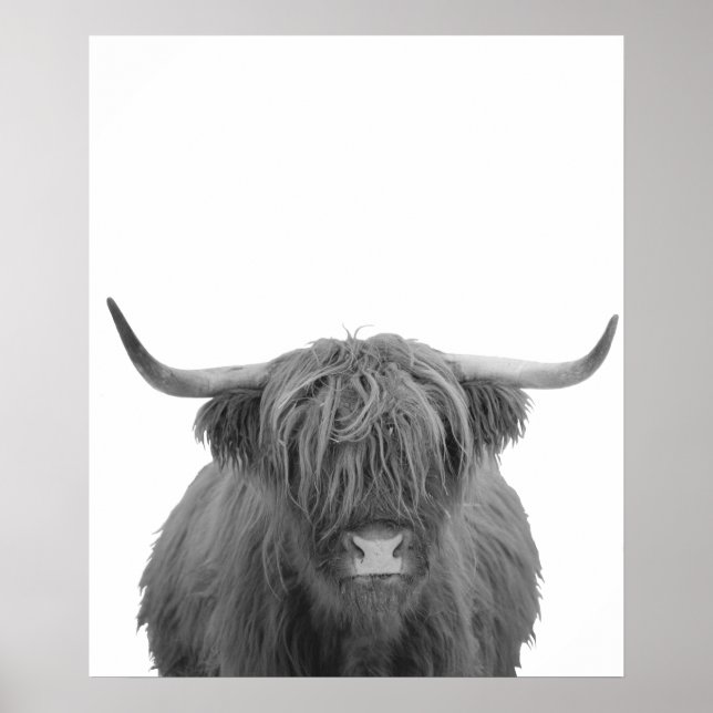 Poster Highland Cow Scotland Rustic Black White (Frente)