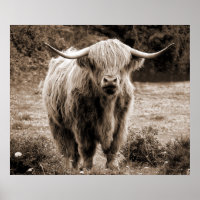 Highland Cow Scotland Rustic Brown monotone