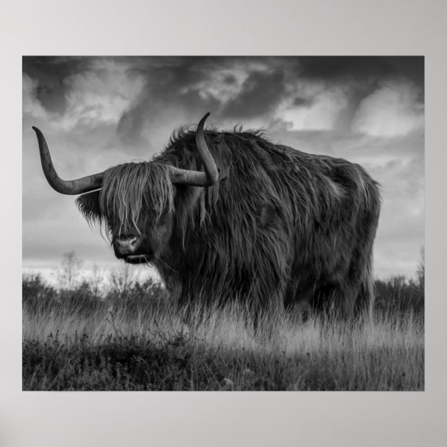 Poster Highland Cow Scotland Rustic Brown monotone Posto (Frente)