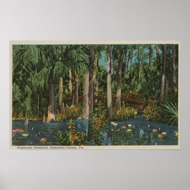 Poster Highlands County, FL - View of Highlands Hammock (Frente)