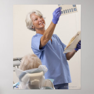 Pôster Higiene dentária feminina examinando Raio-X