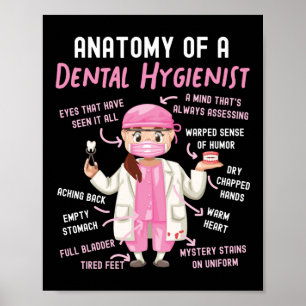 Poster Higienista Dental Anatomia Dental De Dental