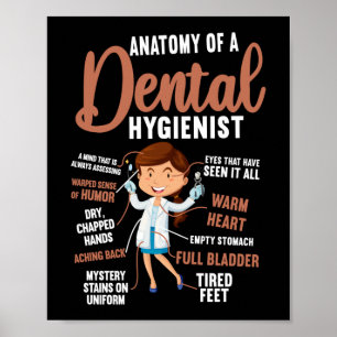 Poster Higienista Dental Anatomia Dental De Dental