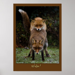 Pôster Hike!